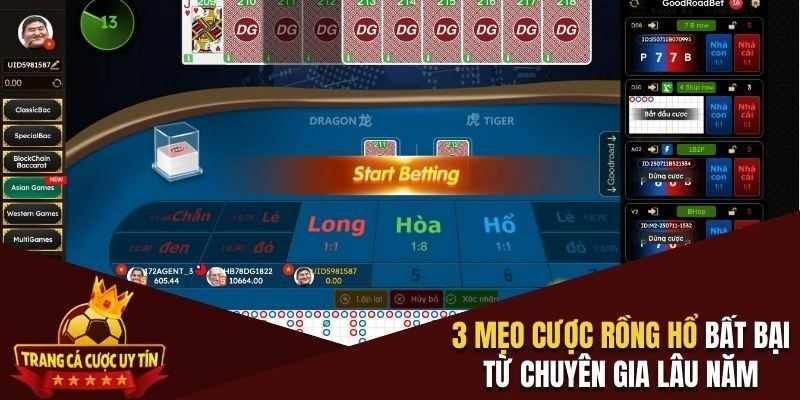 3 mẹo cược rồng hổ bất bại từ chuyên gia lâu năm