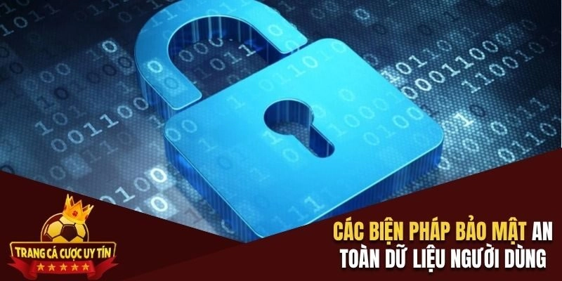Các biện pháp bảo mật an toàn dữ liệu người dùng