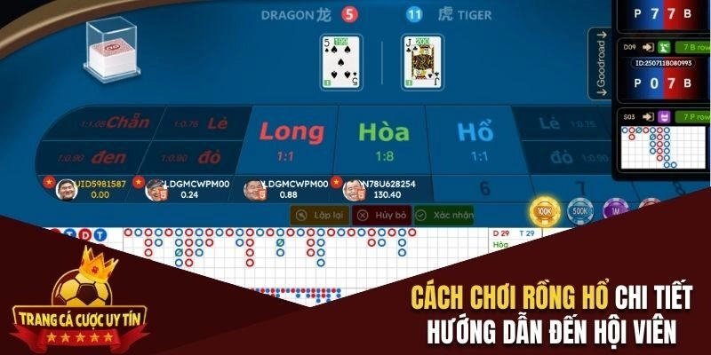 Cách chơi rồng hổ chi tiết hướng dẫn đến hội viên