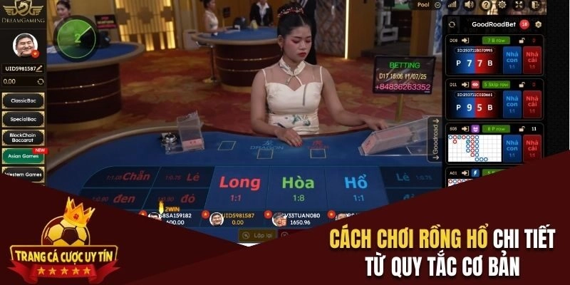 Cách chơi rồng hổ