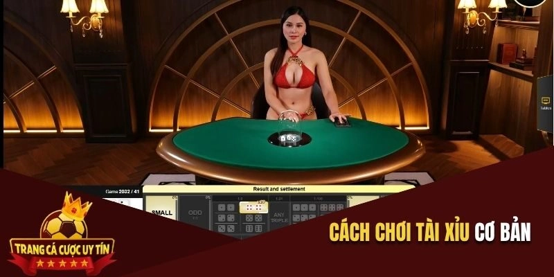 Cách chơi Tài xỉu cơ bản