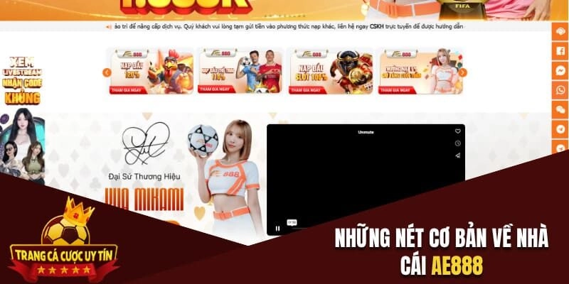 Những nét cơ bản về nhà cái AE888
