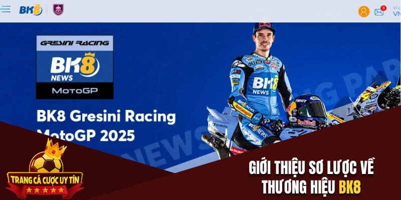 Sơ lược về thương hiệu giải trí BK8