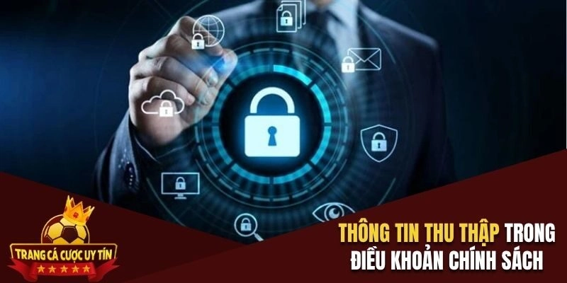 Thông tin thu thập trong điều khoản chính sách bảo mật