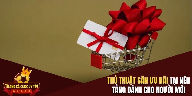 Thủ thuật săn ưu đãi tại nền tảng dành cho người mới