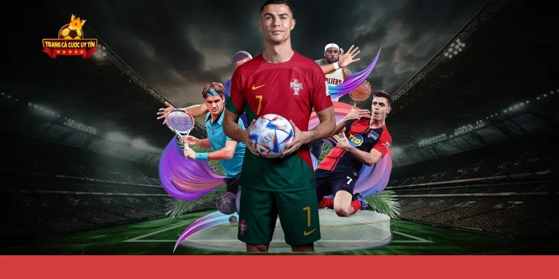 Các yếu tố ảnh hưởng và công cụ hỗ trợ soi kèo